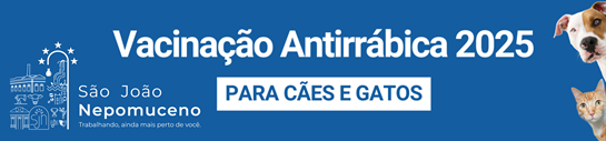 vacinação aitrrabica 2025